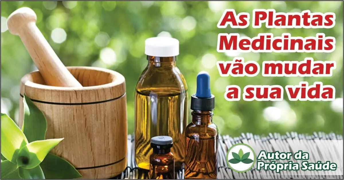 Capa: Fitoterapia – Autor da Própria Saúde – Daniel Forjaz