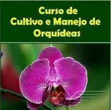 Capa: Curso cultivo de orquideas