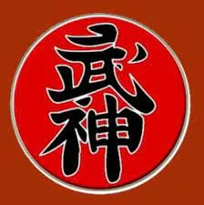 Capa: Faixa Preta Ninjutsu Ninja