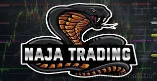 Capa: CURSO Naja Trader – NTG – Take Certo