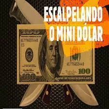 Capa: CURSO Pio Trade Escalpelando o Mini Dolar