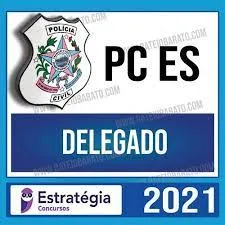 Capa: PC ES (Delegado) Estratégia 2021