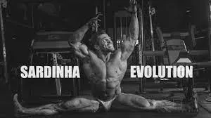 Capa: Sardinha Evolution