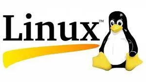 Capa: Linux Completo para Usuário Comum ou Desenvolvedor
