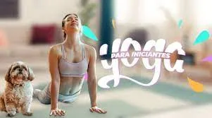 Capa: Yoga Para Iniciantes – BTFIT