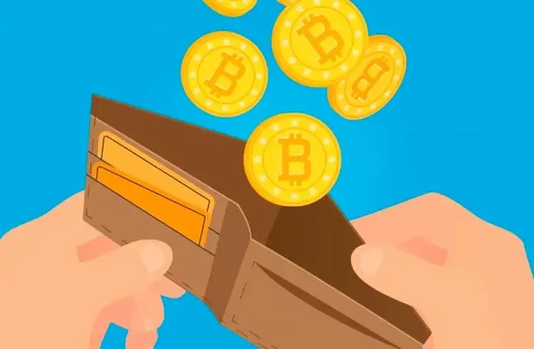 Capa: Curso Bitcoin – Carteiras