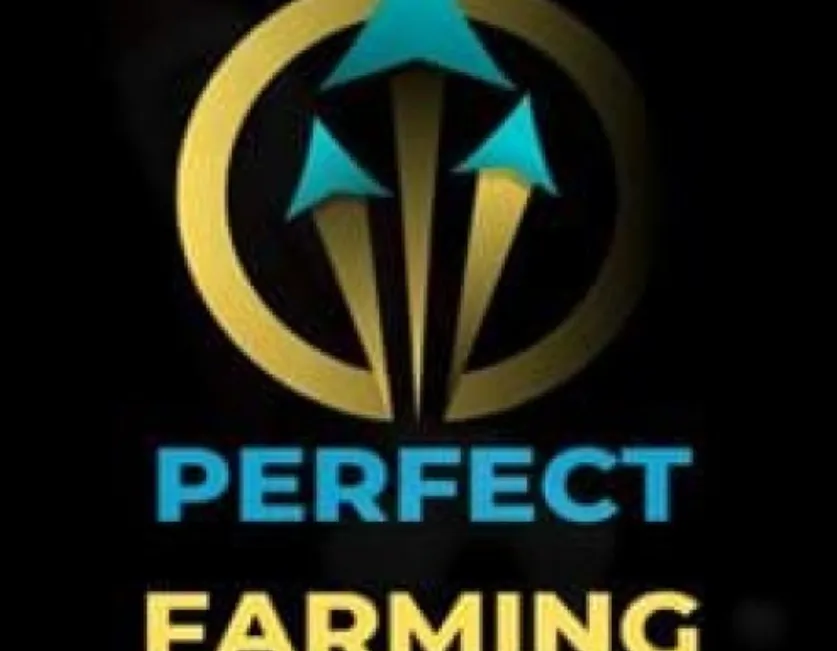 Capa: PERFECT FARMING – TIAGO REBELO