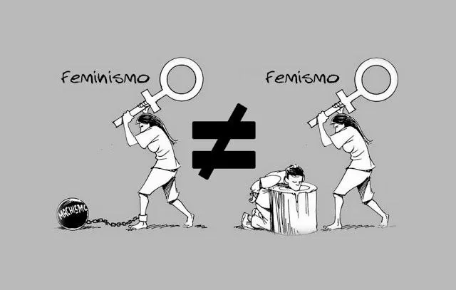 Capa: Desmascarando o Feminismo