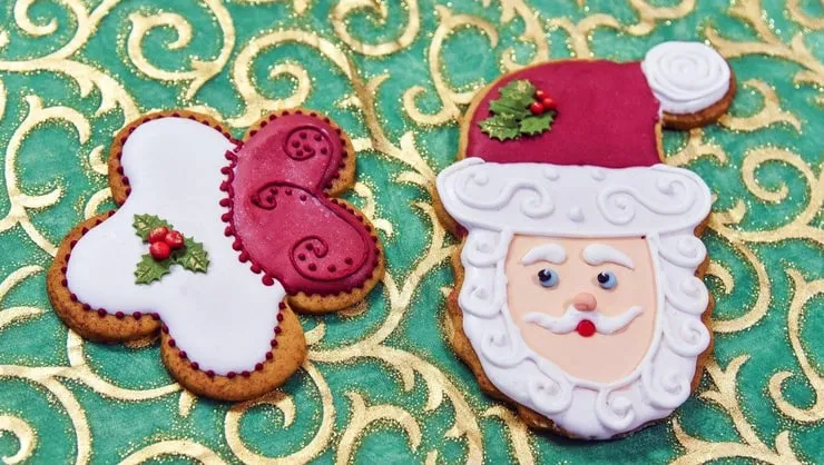 Capa: Bolachas decoradas de natal – Vanir Petter