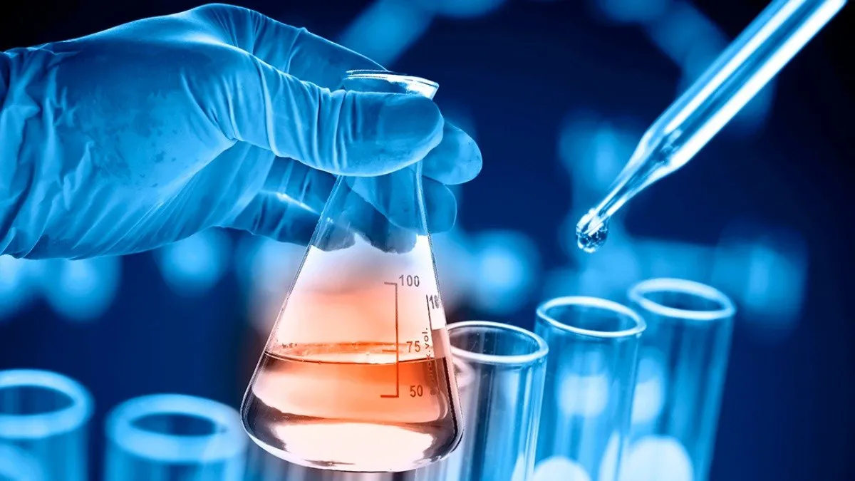 Capa: Universidade da Química