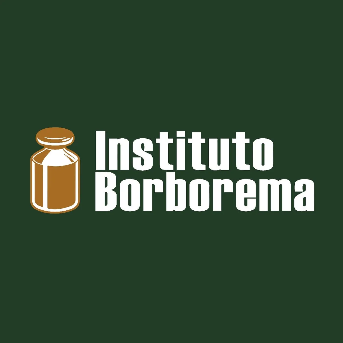 Capa: Instituto Borborema – Formação Básica
