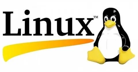 Capa: Linux Completo para Usuário Comum ou Desenvolvedor