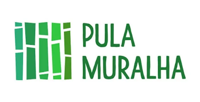 Capa: Curso de Chinês – Pula Muralha