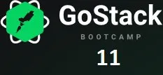 Capa: GoStack Bootcamp 11