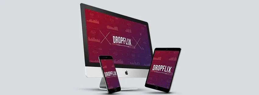 Capa: Dropflix – Segredos Ecom