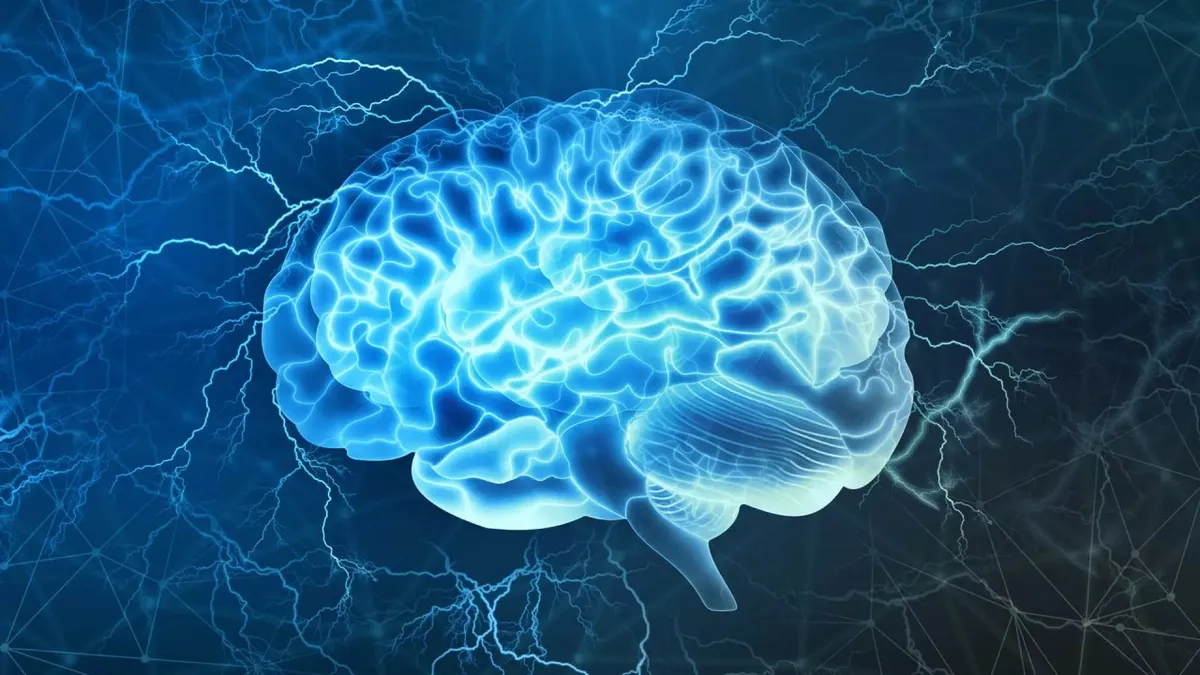 Capa: Neurociência e Comportamento (de verdade) – Eslen Delanogare