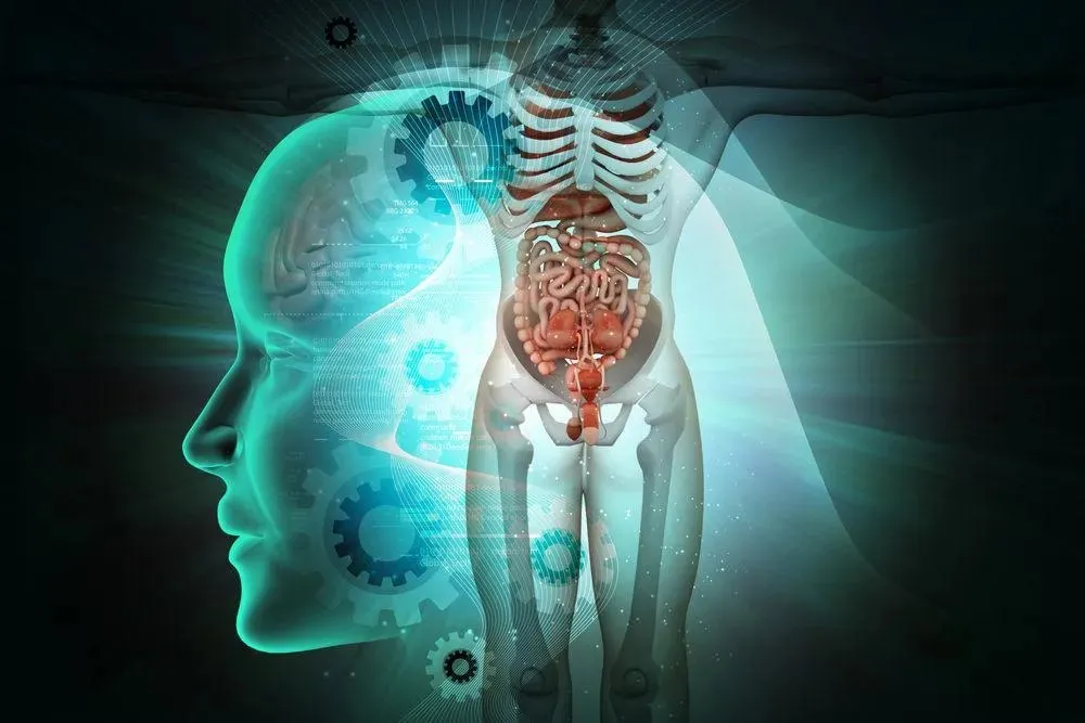 Capa: Anatomia dos Órgãos e Sistemas
